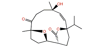 Sarelengan F